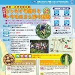 SCN第5号アイキャッチ