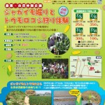 SCN第11号アイキャッチ