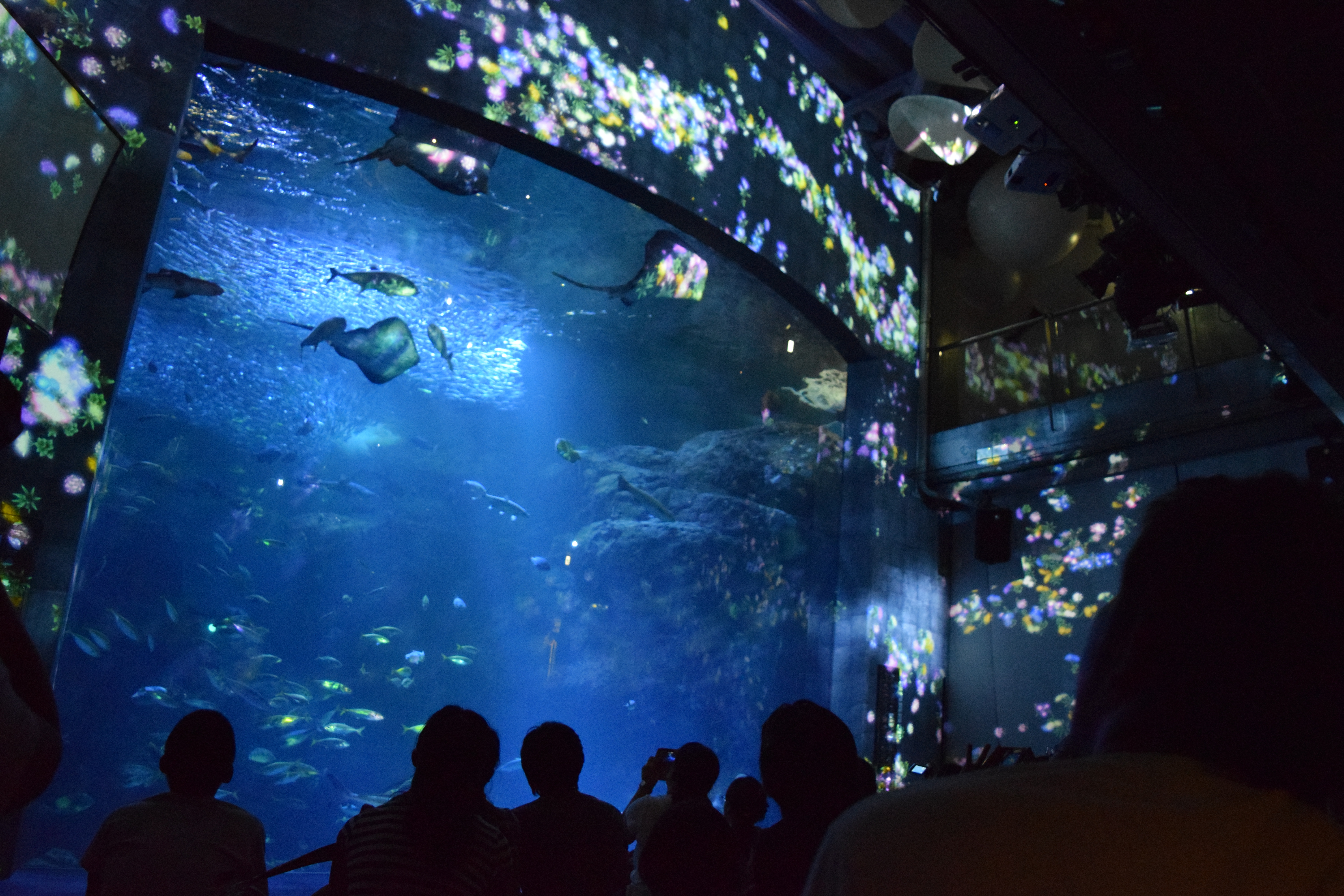 新江ノ島水族館お泊りナイトツアー – 湘南勤労者福祉サービスセンター