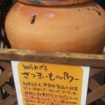 プチマルシェYUU03