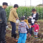 おいも04