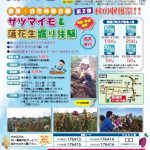 SCN第30号アイキャッチ