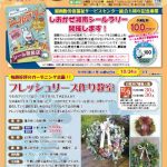 SCN第31号アイキャッチ