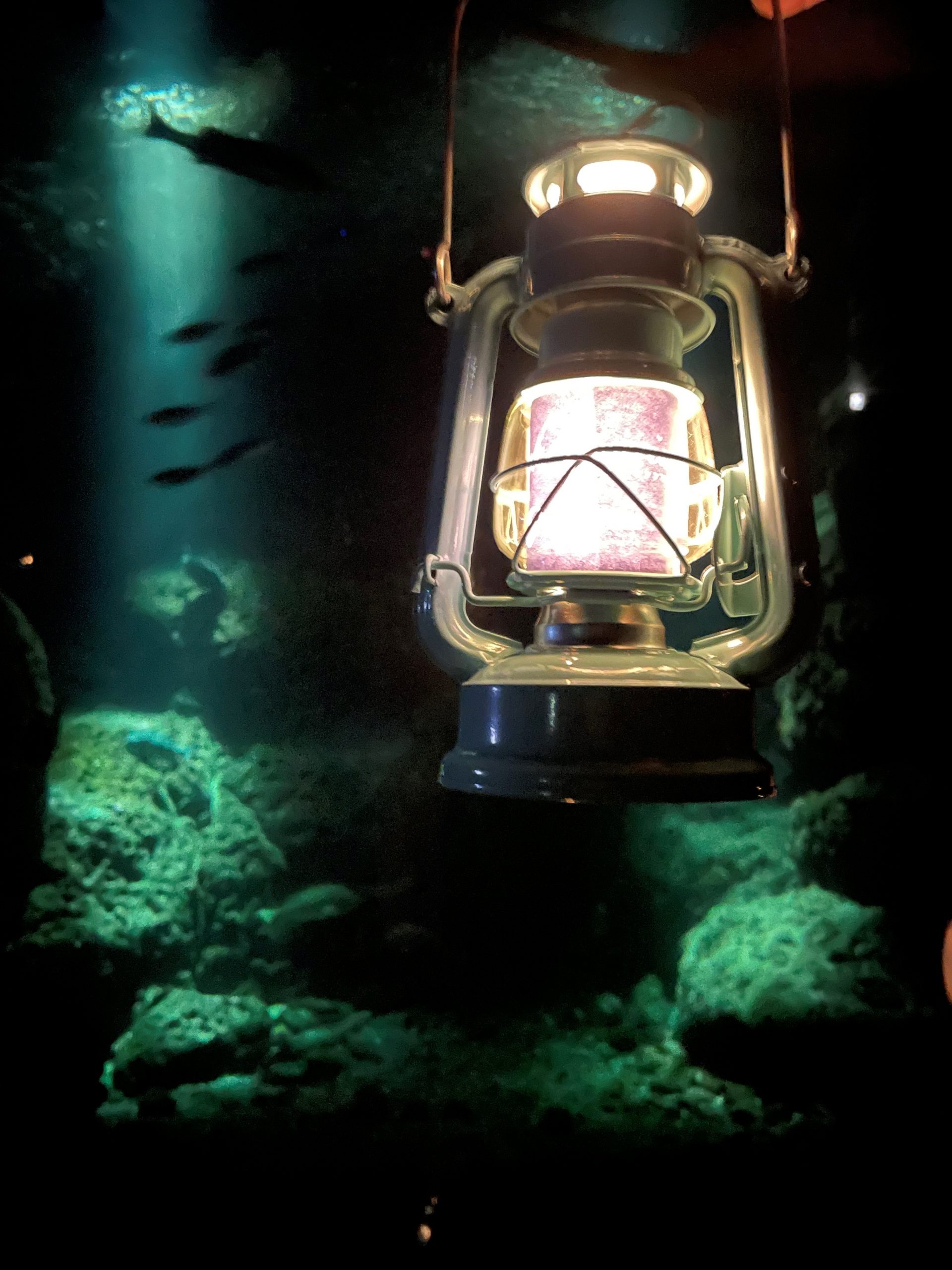 ダークアクアリウム～新江ノ島水族館～ – 湘南勤労者福祉サービスセンター