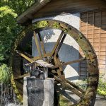 IMG_8750